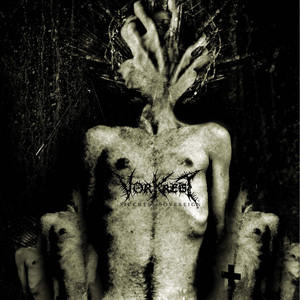 The Diseasemonger cover