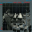 Noční chodec Albumcover