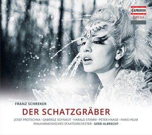 Der Schatzgräber cover