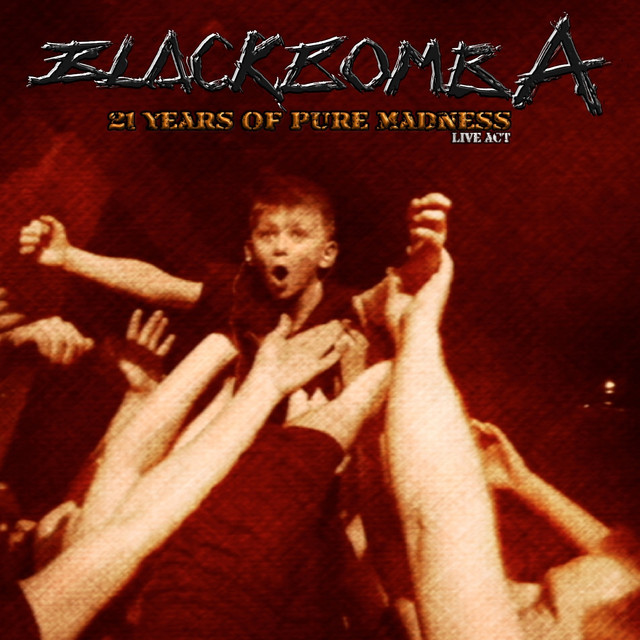 21 Years Of Pure Madness cover