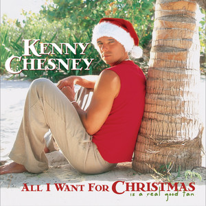 All I Want for Christmas Is a Real Good Tan cover
