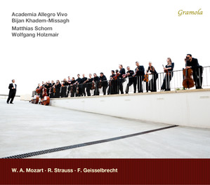 Academia Allegro Vivo