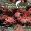 Vendace In The Mix 2013 Albumcover