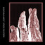 Stride for Stride Albumcover
