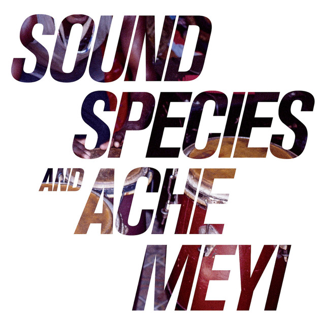 Soundspecies Photo