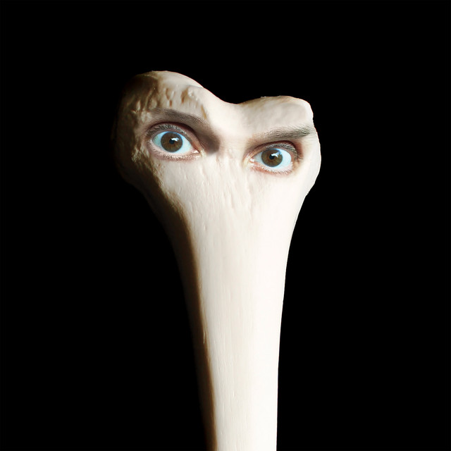Resultado de imagen para halo juana molina spotify