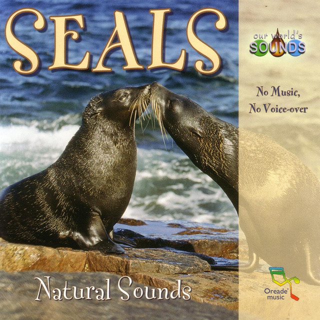 Our World’s Sounds Photo