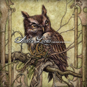 A New Home in the Old World cover