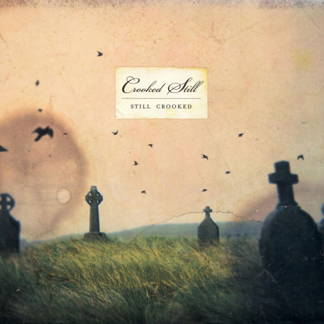 Still Crooked cover