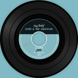 The Vinyl Masters: Hey Baby! album