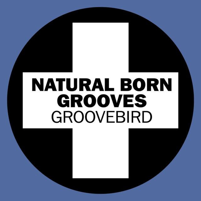 Natural Born Grooves Photo
