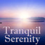 Tranquil Serenity, Vol.1 Albumcover