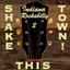 Shake This Town! Indiana Rockabilly, Vol. 2 Albumcover