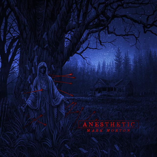 Anesthetic cover