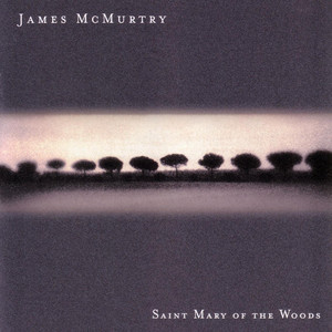 Saint Mary of the Woods cover