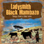 Songs from a Zulu Farm cover