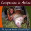 Compassion In Action: The Joys And Benefits Of Living Vegan Albumcover
