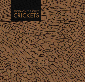 Crickets album
