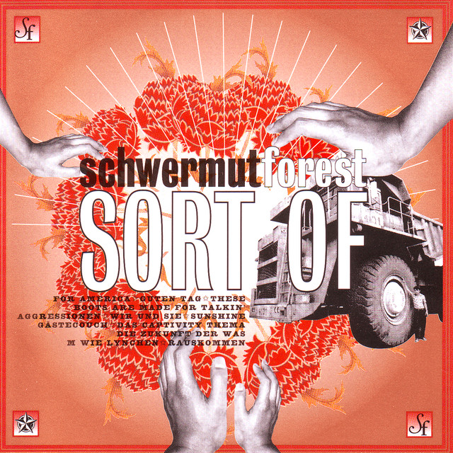 Schwermut Forest Photo