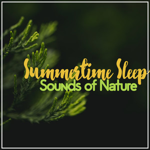 Summertime Sleep Sounds of Nature album