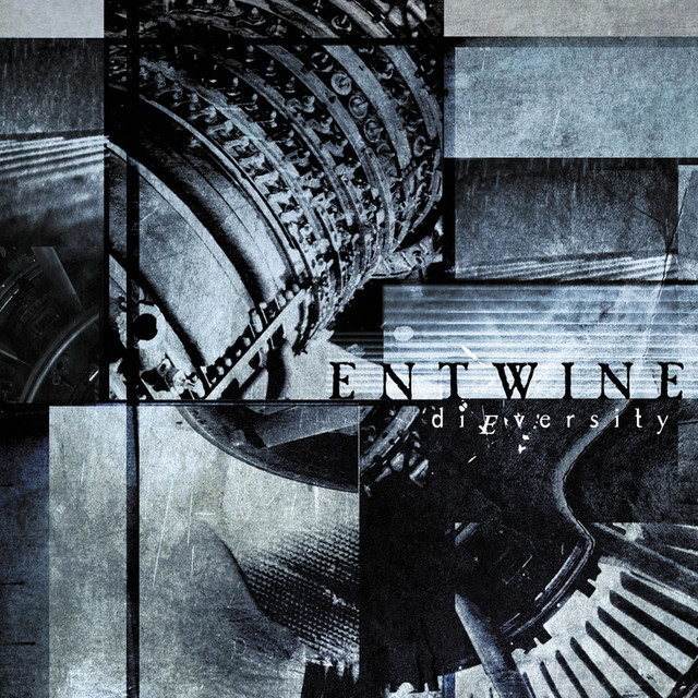 Dieversity cover