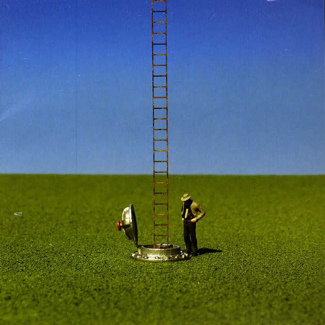 Hormigas cover