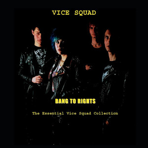 Bang To Rights: The Essential Vice Squad Collection cover
