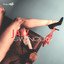 Swingers cover