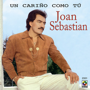 Un cariño como tu album