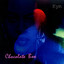 Chocolate Box Albumcover