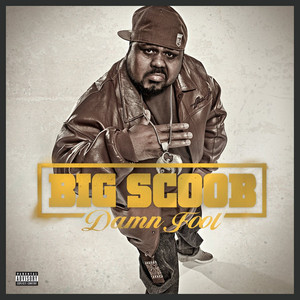 Damn Fool album