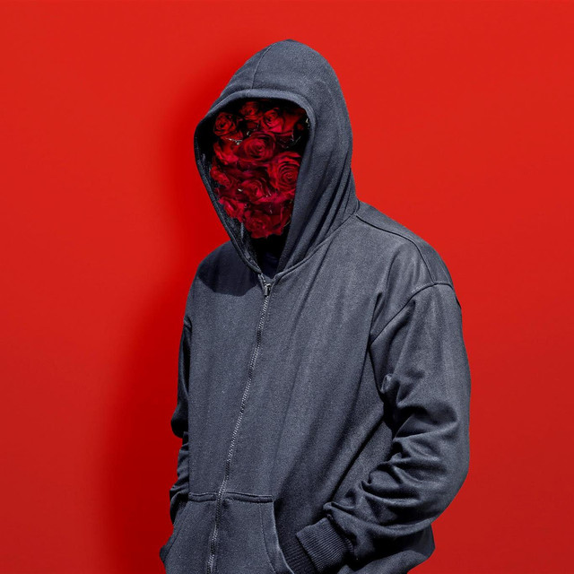 Mr. X photo