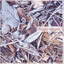 Frost Albumcover
