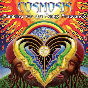 Fumbling for the Funky Frequency cover