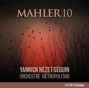Symphony no. 10 in F-sharp minor cover