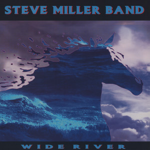 Stranger Blues cover