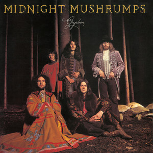 Midnight Mushrumps cover