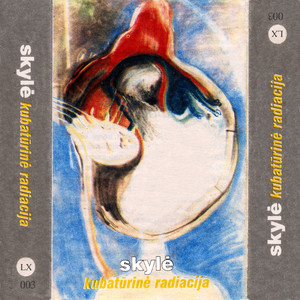 Kubatūrinė radiacija cover