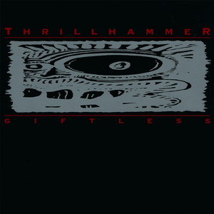 Thrillhammer Photo