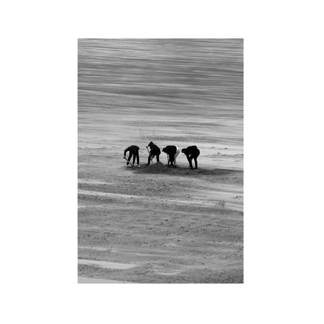 Down cover