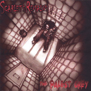 The Palest Grey cover