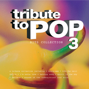 Tribute to Pop - Hits Collection 3 Albumcover