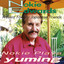 Nokie Edwards Plays Yuming Albumcover