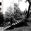 Timber Timbre cover