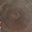 Moksha cover