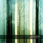 Perimeters cover