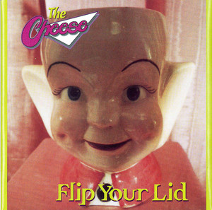 Flip Your Lid cover