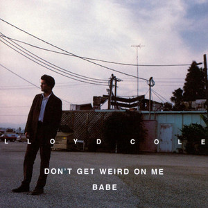 Don't Get Weird on Me, Babe album