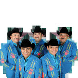 Los Tigrillos profile
