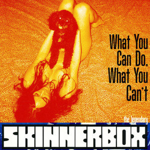 What You Can Do, What You Can't cover